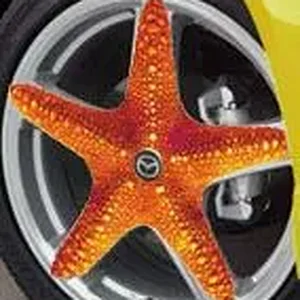 starhartcentercap.jpg