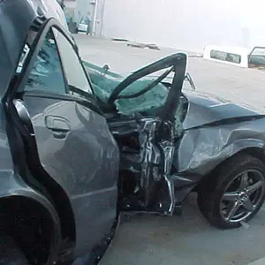 pic2[2].jpg