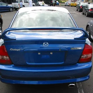 img_1735 (medium).webp