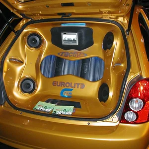 gold p5 trunk.webp