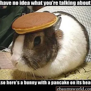 pankcake.webp
