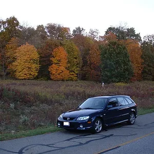 autumn2.webp