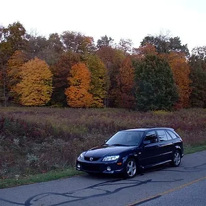 autumn.webp