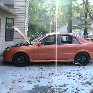 picture 001.webp