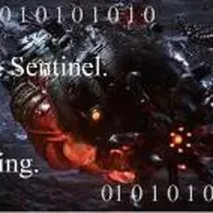 sentinelx.webp