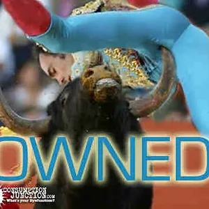 bull horn owned.webp