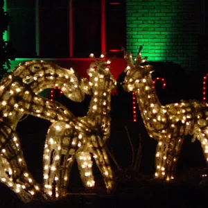 deer and signs 007.webp