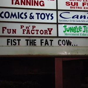 deer and signs 006.webp