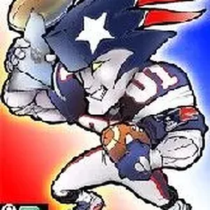 go pats!.webp