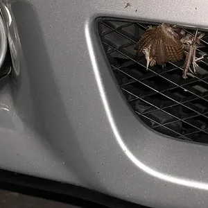 picture 003_small.webp