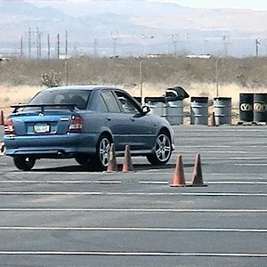 tuc0217_34 dolphin.webp