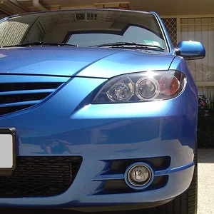 DSC01590 (Large).webp