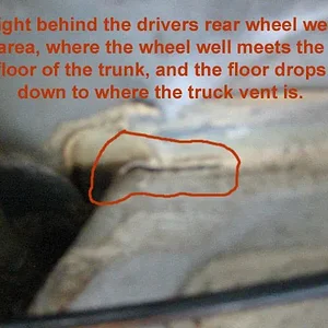 crack-in-trunk-floor.webp