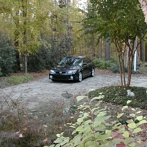 weak calender shot.webp