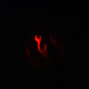 JPG P5 Int FB Lit.webp