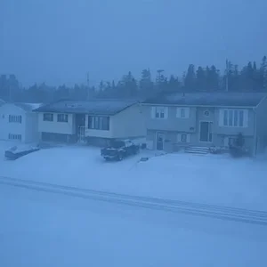 IMG_0039 (Medium).webp