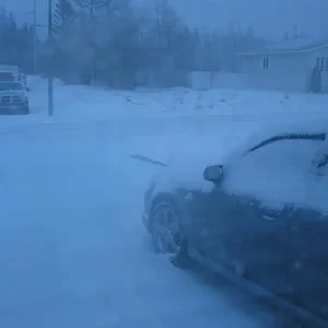 IMG_0042 (Medium).webp