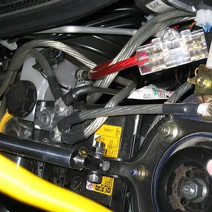 IMG_2409 (Medium).webp