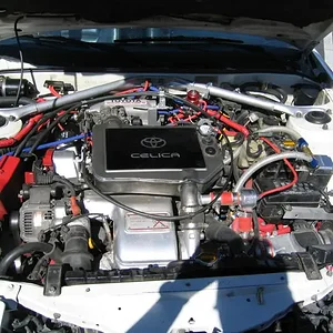 IMG_2594 (Medium).webp