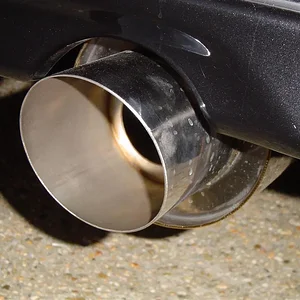 DSC01857 (Large).webp