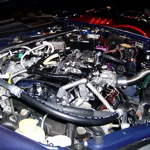 7-17 meet and show gurly2.webp