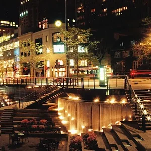 MrRose-R1-22 (2).webp