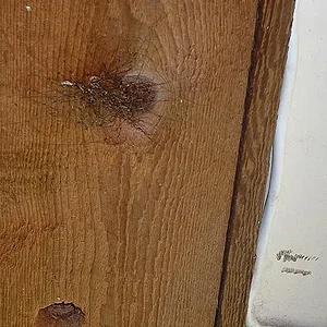 JPG Daddy Convention 2.webp