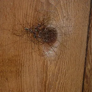 JPG Daddy Convention 3.webp