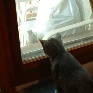 JPG KC & Squirrel.webp