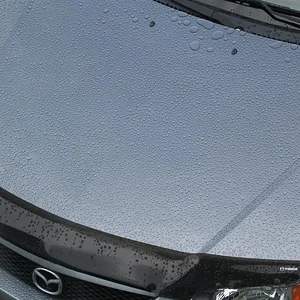 IMG_0037 (Large).webp