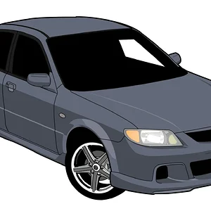 cell_msp17 copy.webp