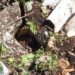 Apt.& car accident 046.webp