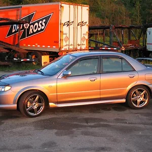 IMG_0223 (Medium).webp