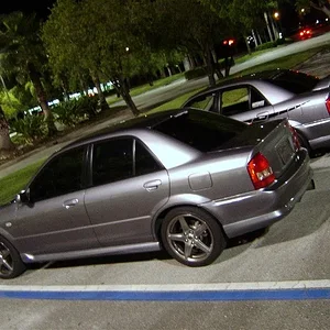 wingless comparo 1.webp