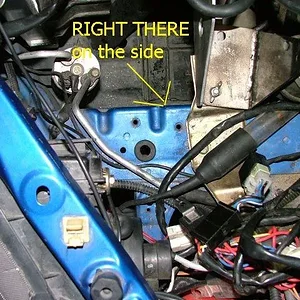 AT_relocate3 copy.webp