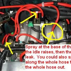 Vacuum line shot.webp