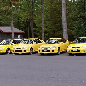 fall 04 meet stanley park yellow.webp