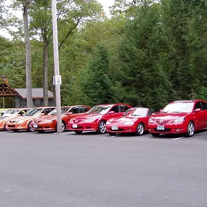 fall 04 meet stanley park red.webp