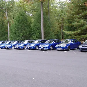 fall 04 meet stanley park blue.webp