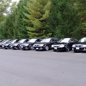 fall 04 meet stanley park black.webp