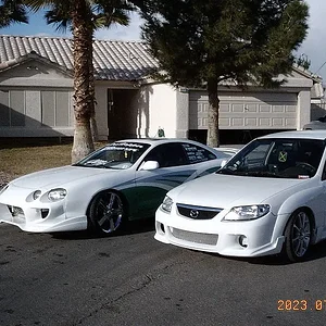 prote&celica1.webp