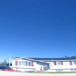 zaino after one application of z5 (9) (Large).webp