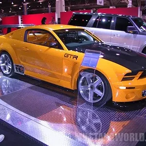 IMG_2515_JPG (Small).webp