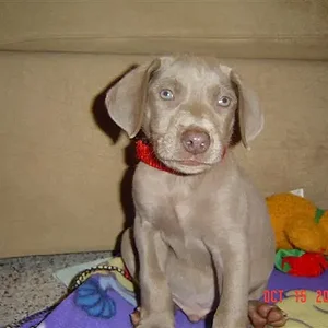 DSC00153 (Small).webp