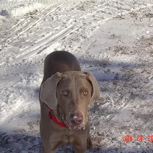 DSC00549 (Small).webp