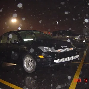 DSC01854 (Medium).webp