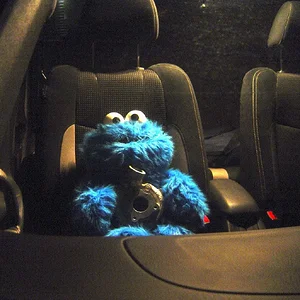 Cookie Monster.webp