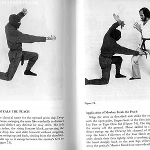 monkey steals the peach.webp