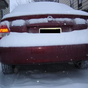 protege back copy.webp