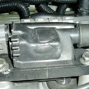 COIL.webp
